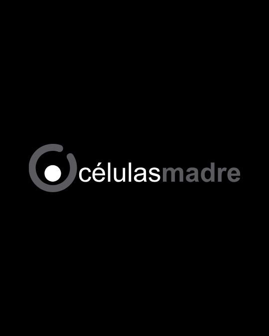 celulas-madre